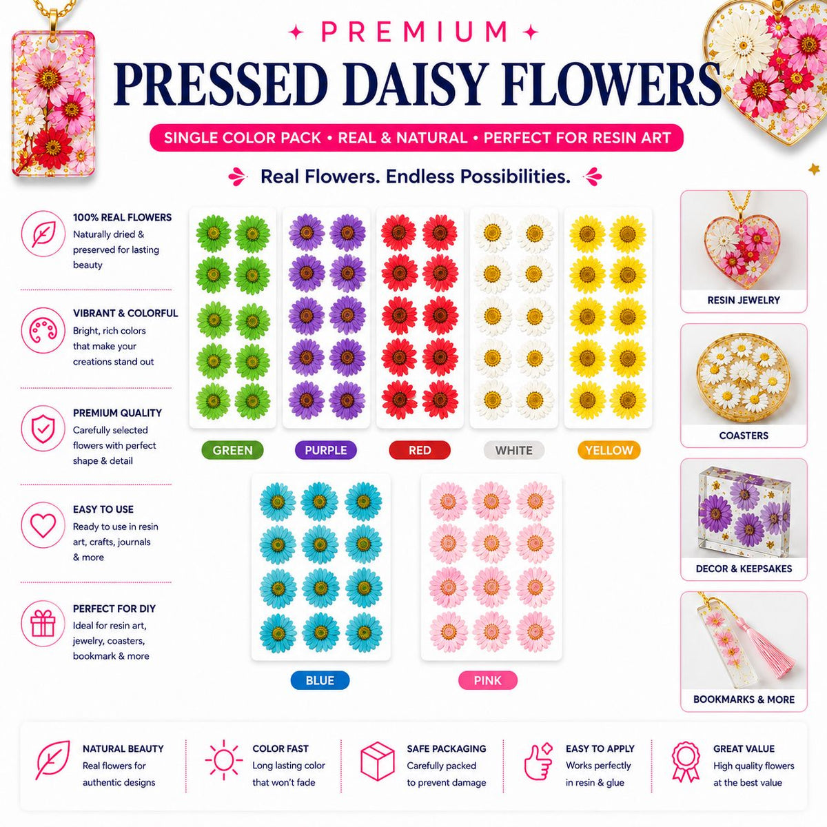 Premium Pressed Daisy Flowers – Single Color Pack