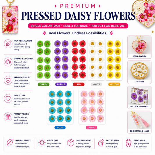 Premium Pressed Daisy Flowers – Single Color Pack